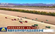 【新思想引领新征程·非凡“十四五”】我国农业农村现代化迈出坚实步伐