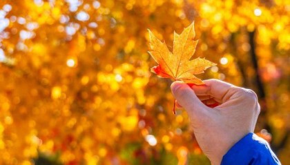 霜降时节，去哪里寻红叶？收好“秋叶地图”