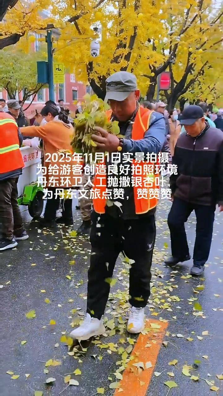 辽宁丹东银杏大道有环卫工人手动抛撒落叶？文旅局：路面落叶较少，从别处收集银杏叶创造良好拍照环境