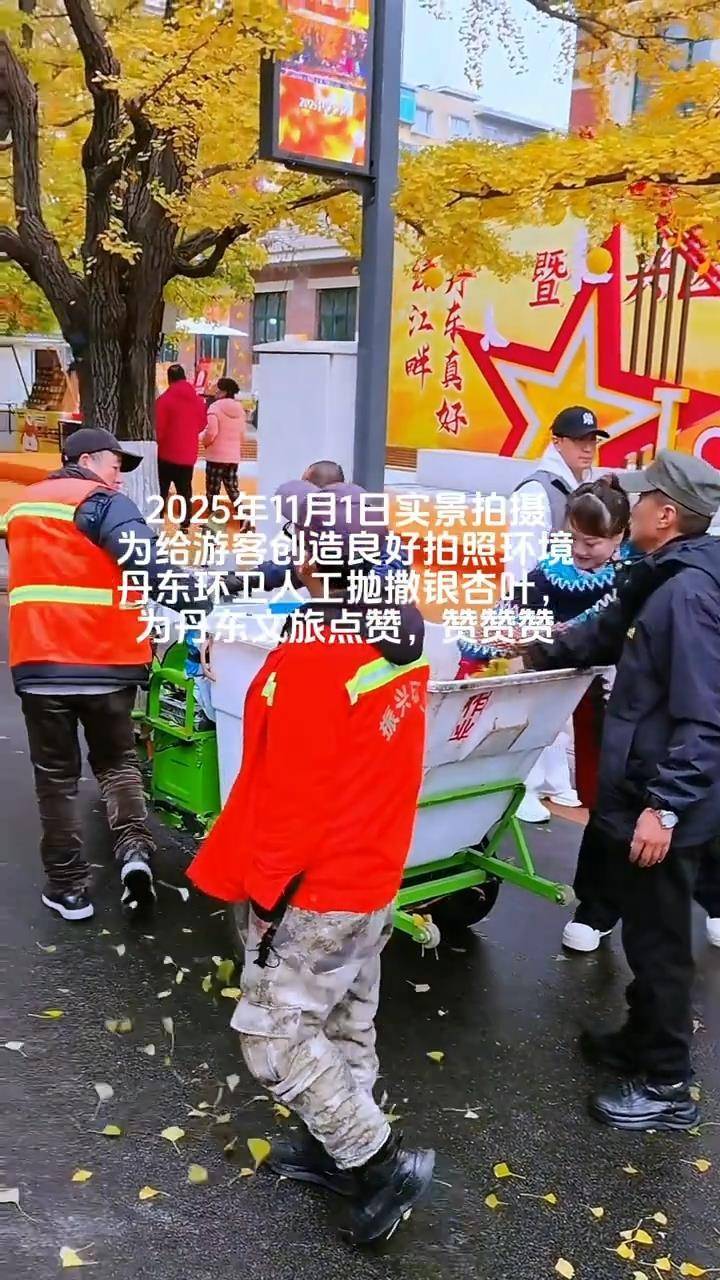 辽宁丹东银杏大道有环卫工人手动抛撒落叶？文旅局：路面落叶较少，从别处收集银杏叶创造良好拍照环境