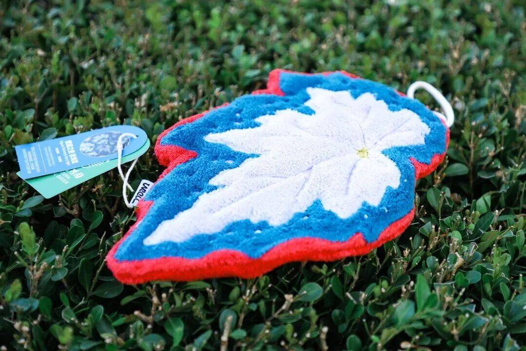 绝美！北京秋季颜值已达巅峰！这样定格最美秋天！