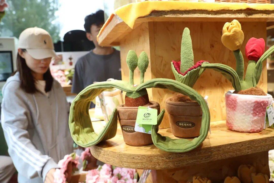 绝美！北京秋季颜值已达巅峰！这样定格最美秋天！